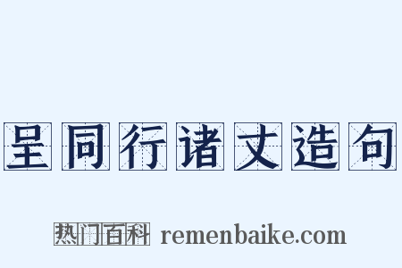 呈同行诸丈造句是什么意思的图片